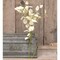 Set of 6 Foamy Silver Dollar Spray Artificial Cream Foam Leaves Green Stem 21 Inch Flexible Branch Farmhouse Vase Home Decor Accent